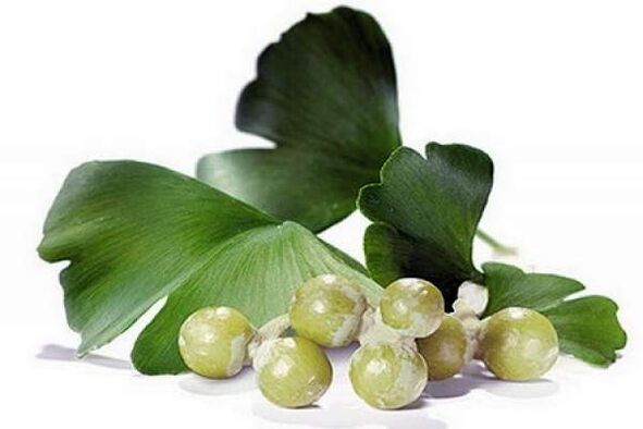 Ginkgo Biloba suurendab meeste potentsi