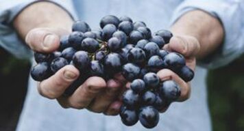 Viinamarjad aitavad tugevdada erektsiooni